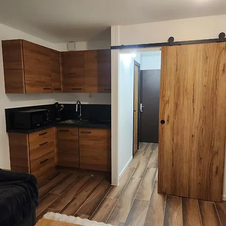Studio Cabine Ski Aux Pieds Les Deux Alpes